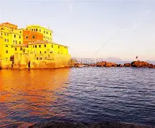 热那亚横扫乌迪内斯,豪取保级关键胜利 热那亚横扫乌迪内斯,豪取保级关键胜利